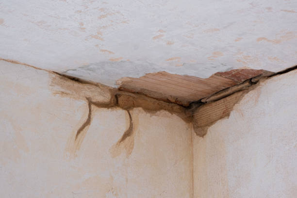 Best Flood restoration services  in Orange City, IA