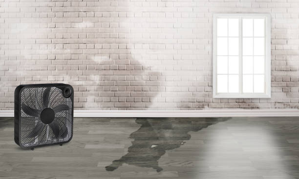 Best Residential water damage restoration  in Orange City, IA