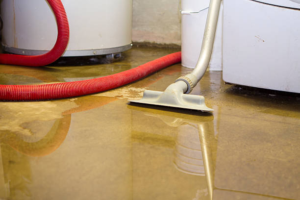 Best 24-hour water damage restoration  in Orange City, IA