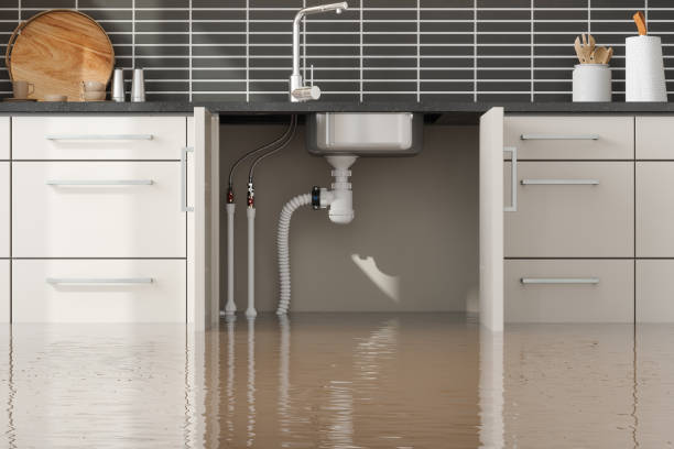 Best 24-hour water damage restoration  in Orange City, IA